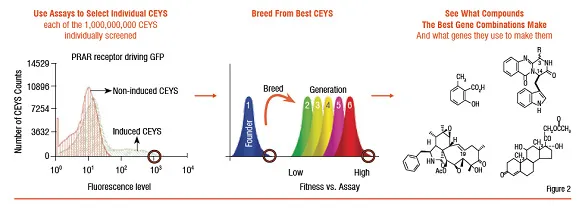 genetic chemistry